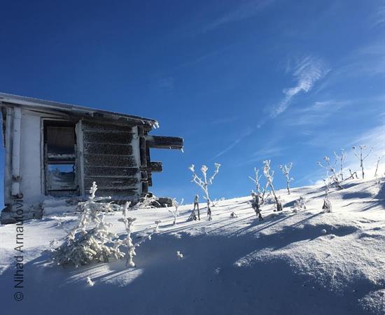 Magical Vlašić